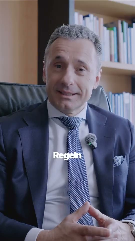 Video-Standbild: die heraldischen Regeln